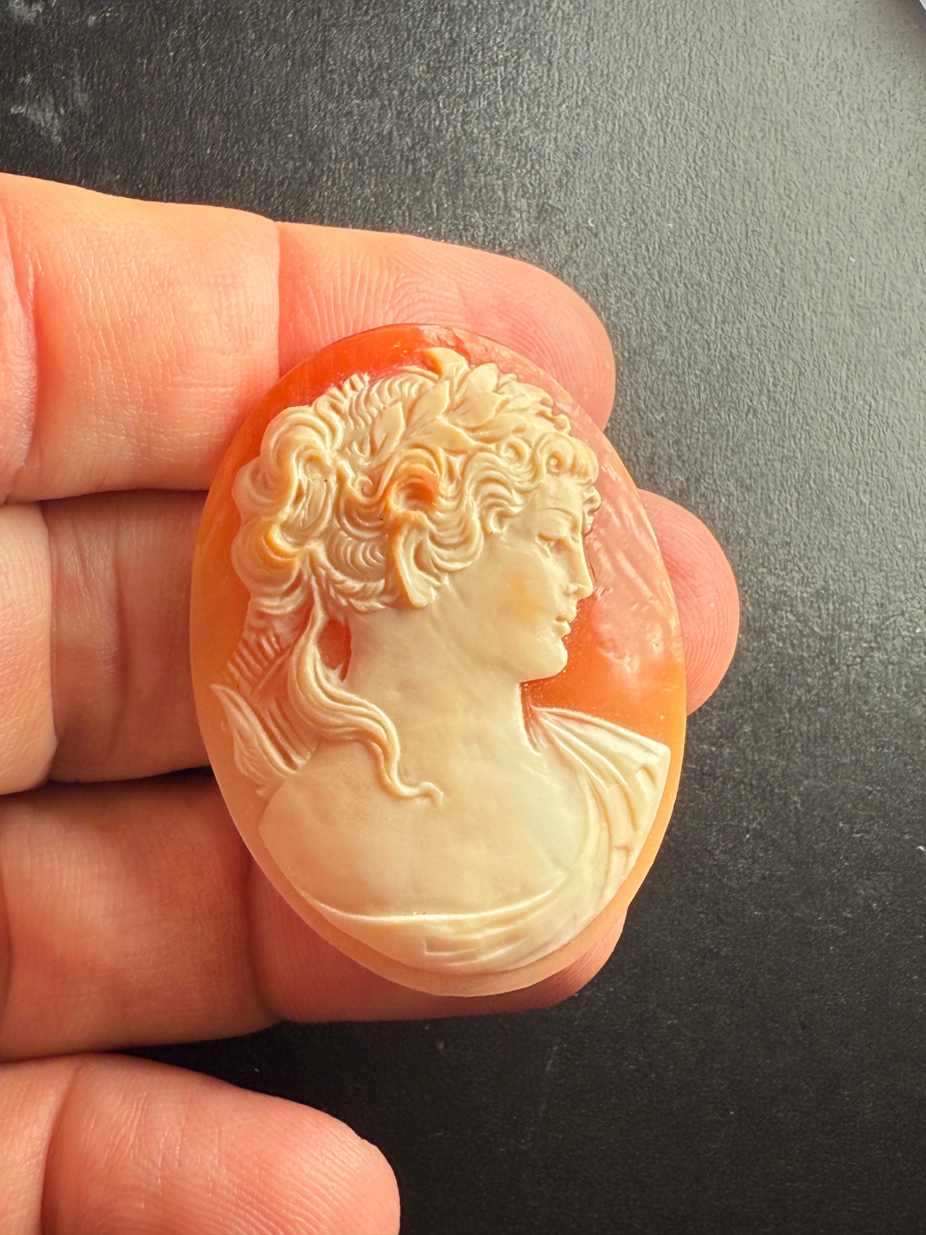 Antique Shell Cameo