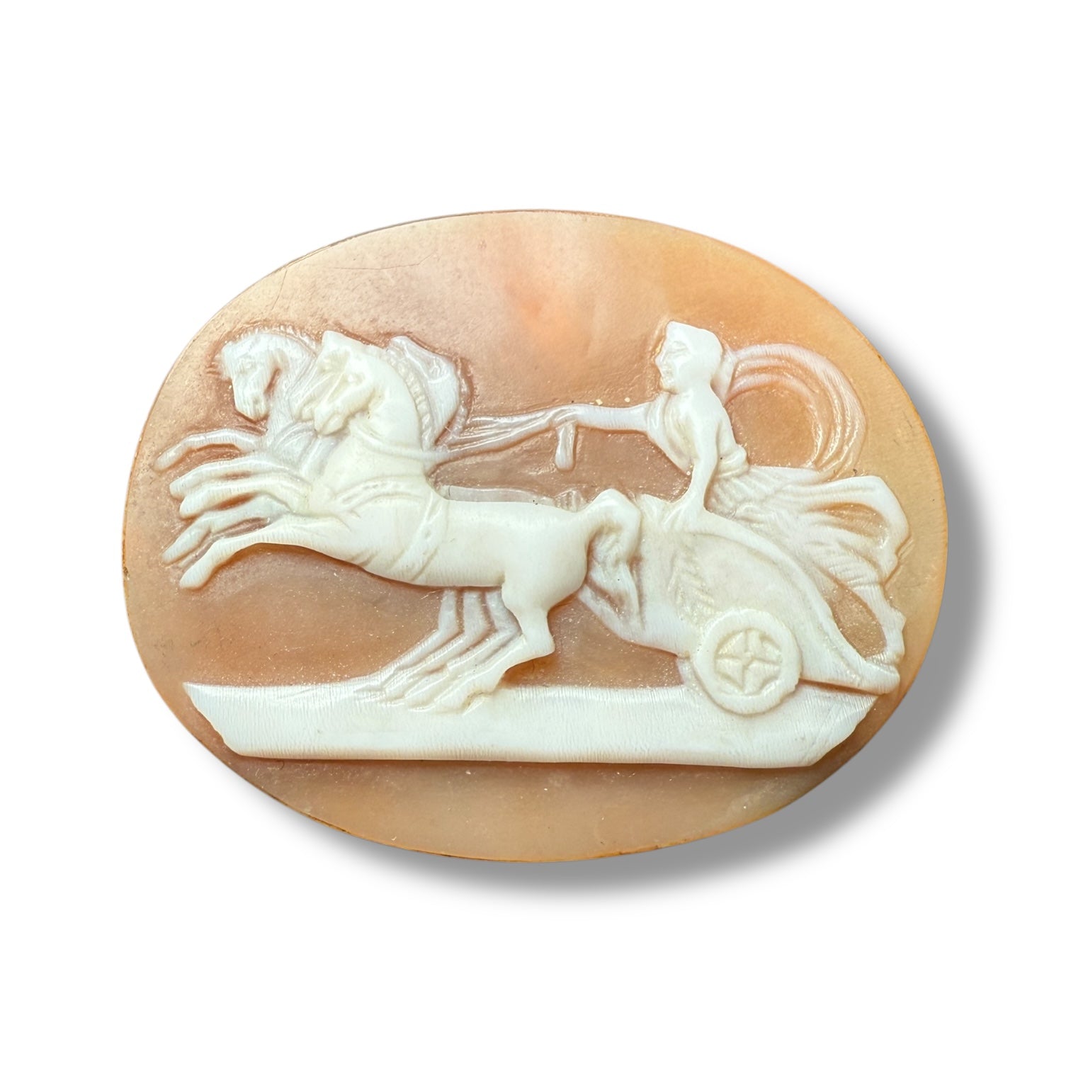 Antique Shell Cameo – Roman Charioteer Scene
