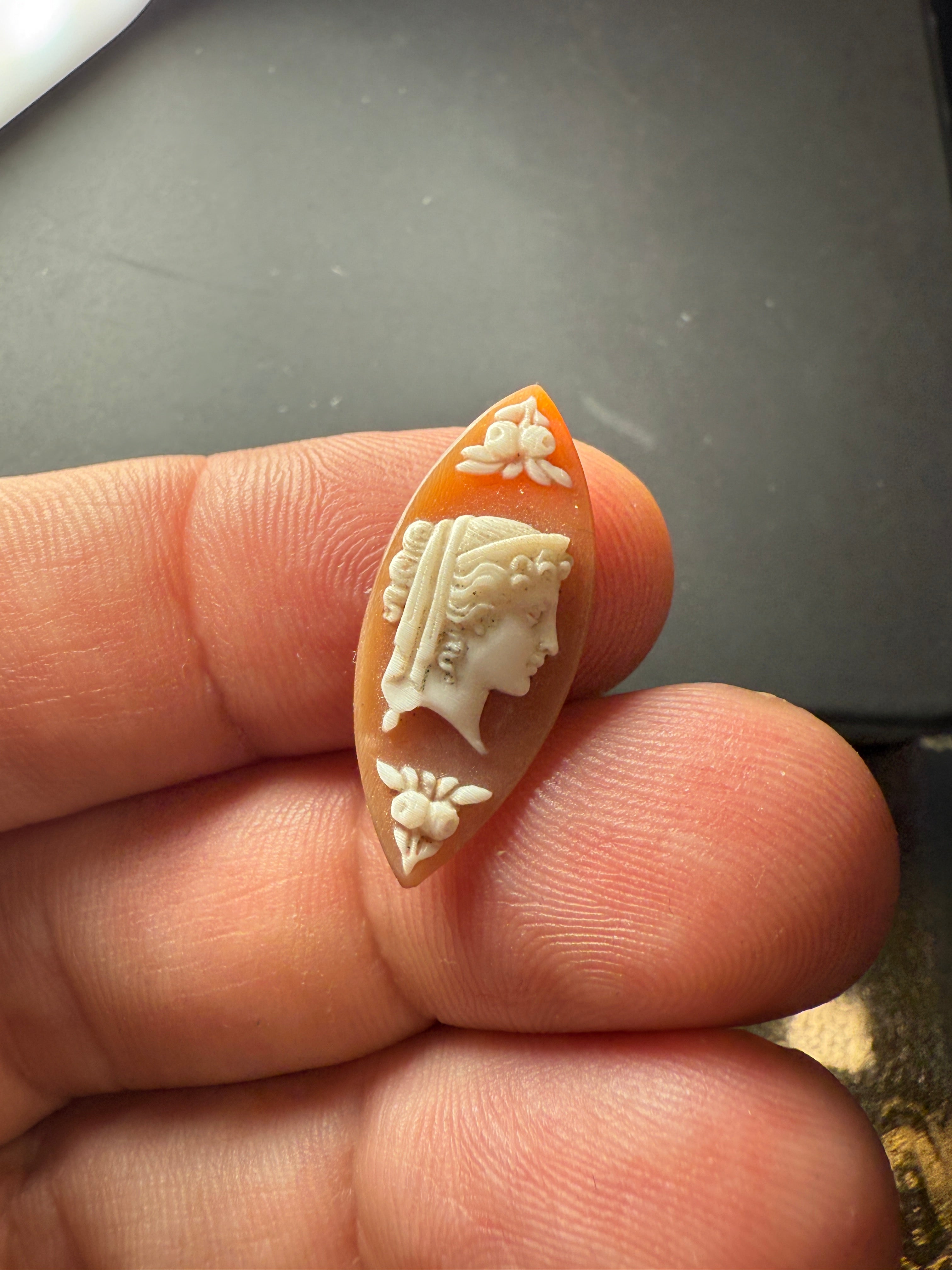 Antique Shell Cameo – Classical Lady with Laurel Motif