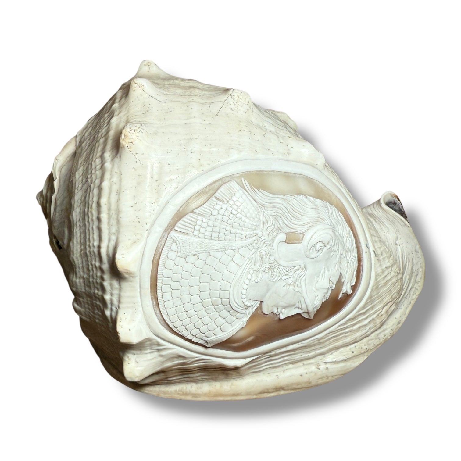 Antique Shell Cameo – Twin Warriors in Classical Revival Style