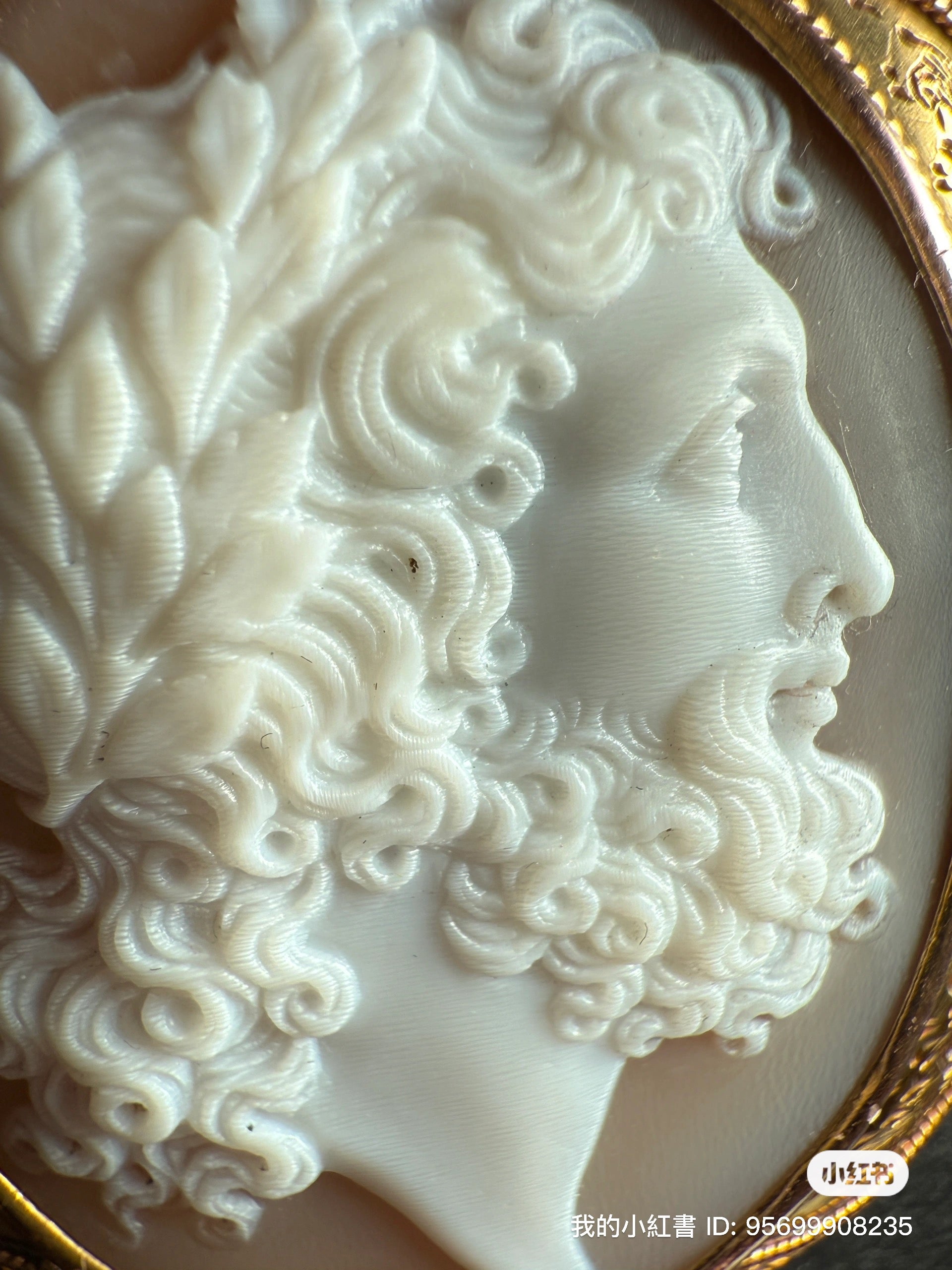 Cameo brooch