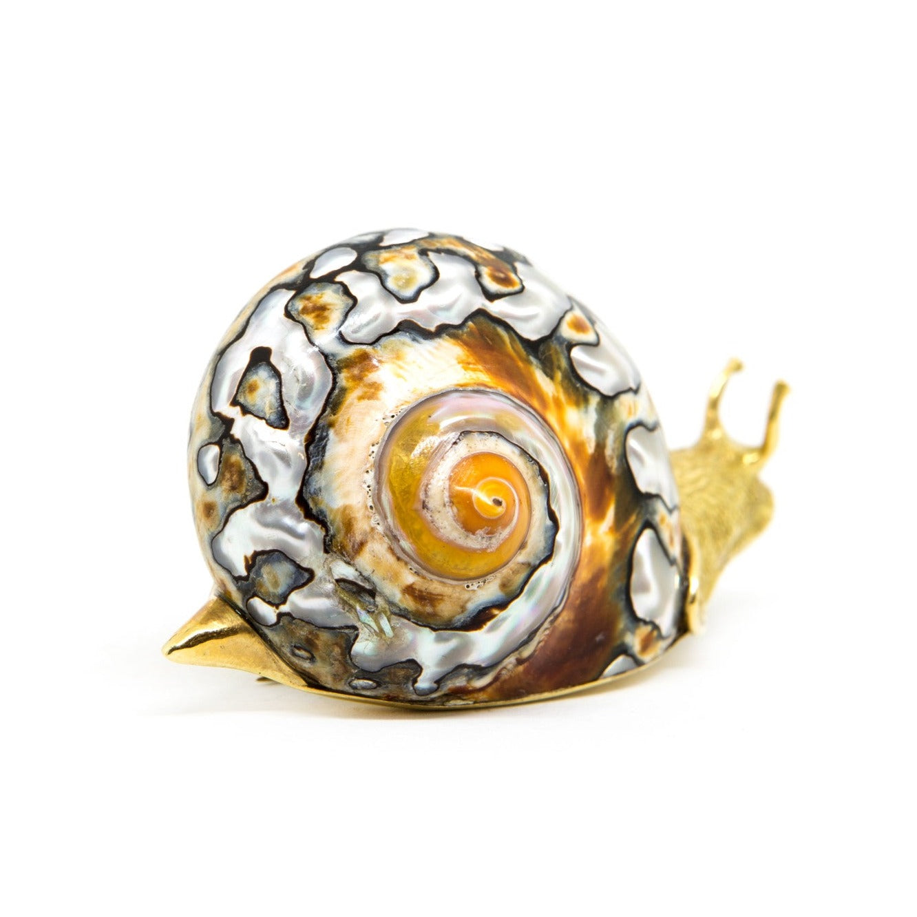 Natural Shell Gold & Diamond Brooch
