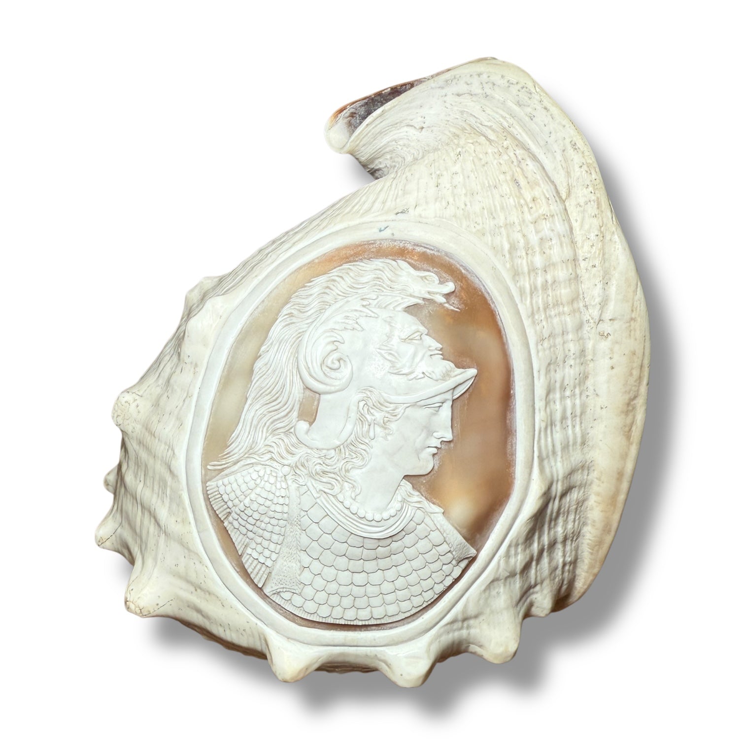 Antique shell cameo 